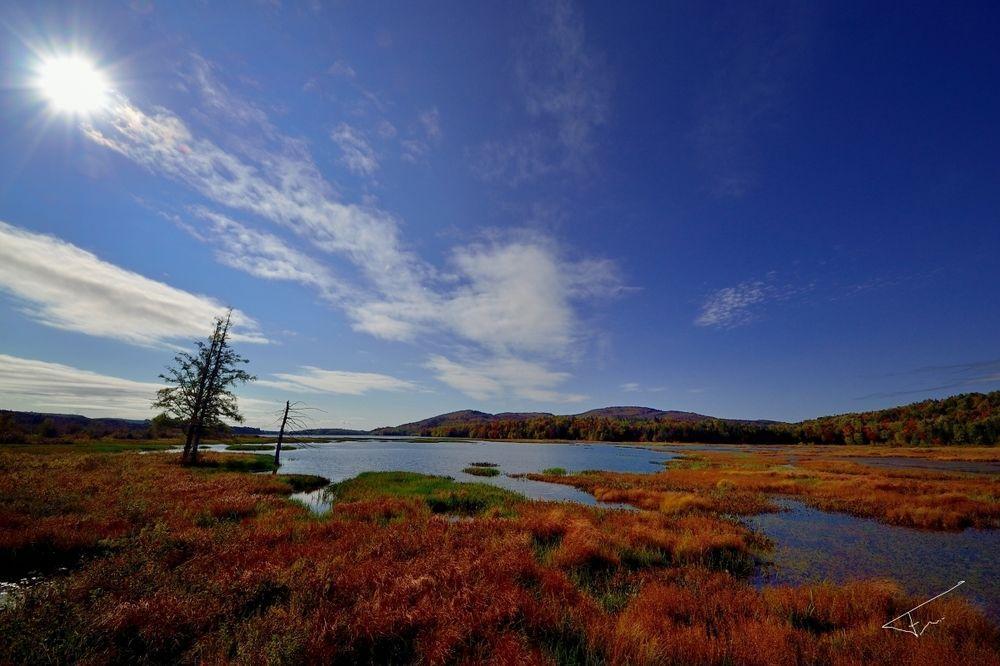 Le Gite Du Hu-Art Québec Buitenkant foto